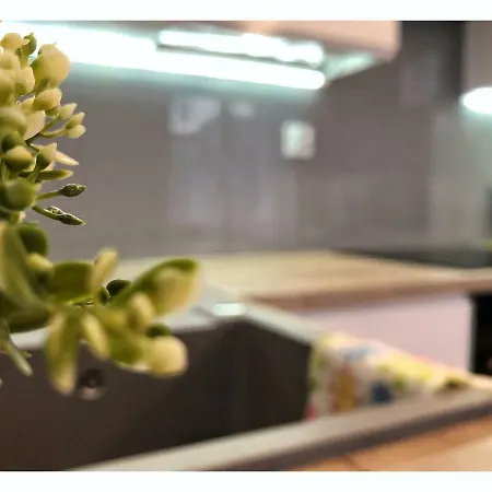 Przy Ratuszu Appartement *