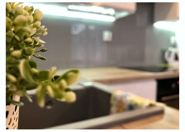 Przy Ratuszu Apartament *